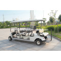 Neueste 2-Sitzer Elektro-Golfwagen DG-C2 mit CE-Zertifikat